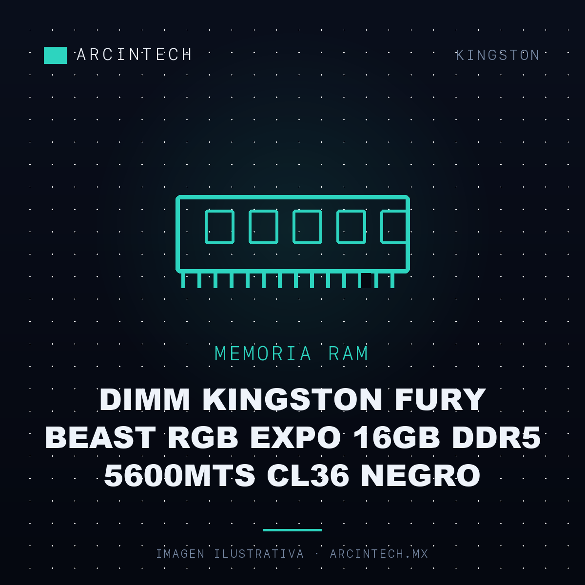 Memoria RAM Dimm Kingston Fury Beast RGB Expo 16GB DDR5 5600MTS CL36 Negro