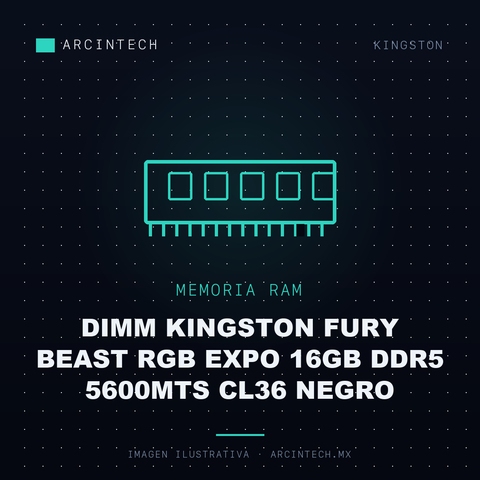 Memoria RAM Dimm Kingston Fury Beast RGB Expo 16GB DDR5 5600MTS CL36 Negro