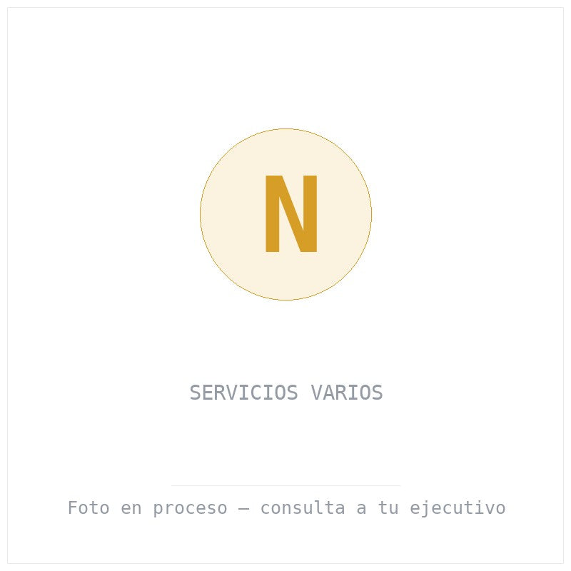 Servicios Varios