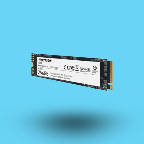 UNIDAD DE ESTADO SOLIDO SSD PATRIOT P300 M.2 256GB PCI EXPRESS 3.0 X4 (P300P256GM28)