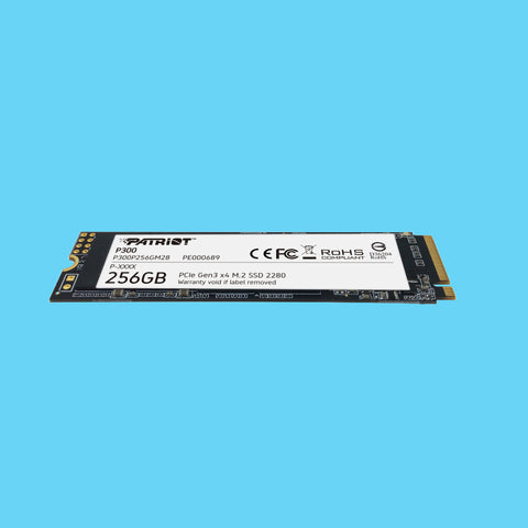 UNIDAD DE ESTADO SOLIDO SSD PATRIOT P300 M.2 256GB PCI EXPRESS 3.0 X4 (P300P256GM28)