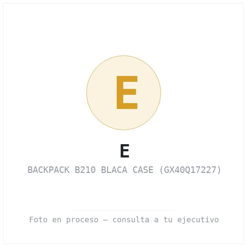 Backpack B210 Blaca Case