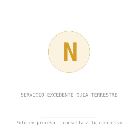 Servicio Excedente Guia Terrestre